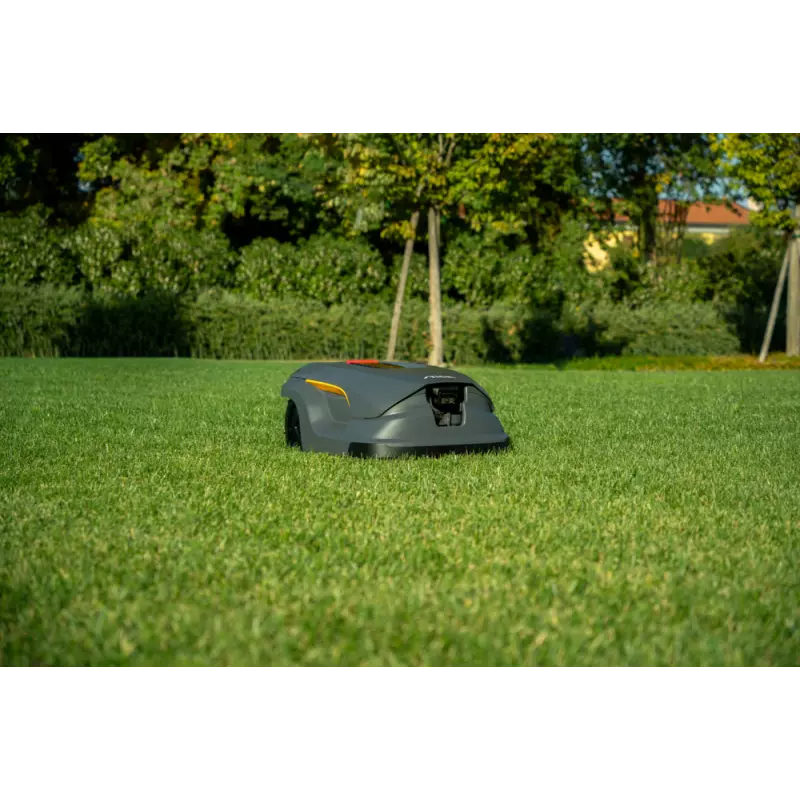 A50v_2R9113028_amb06_web